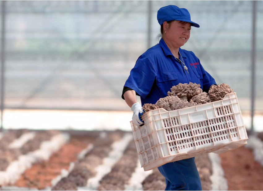 8e8b344aceb487b0c4a98195f24253e