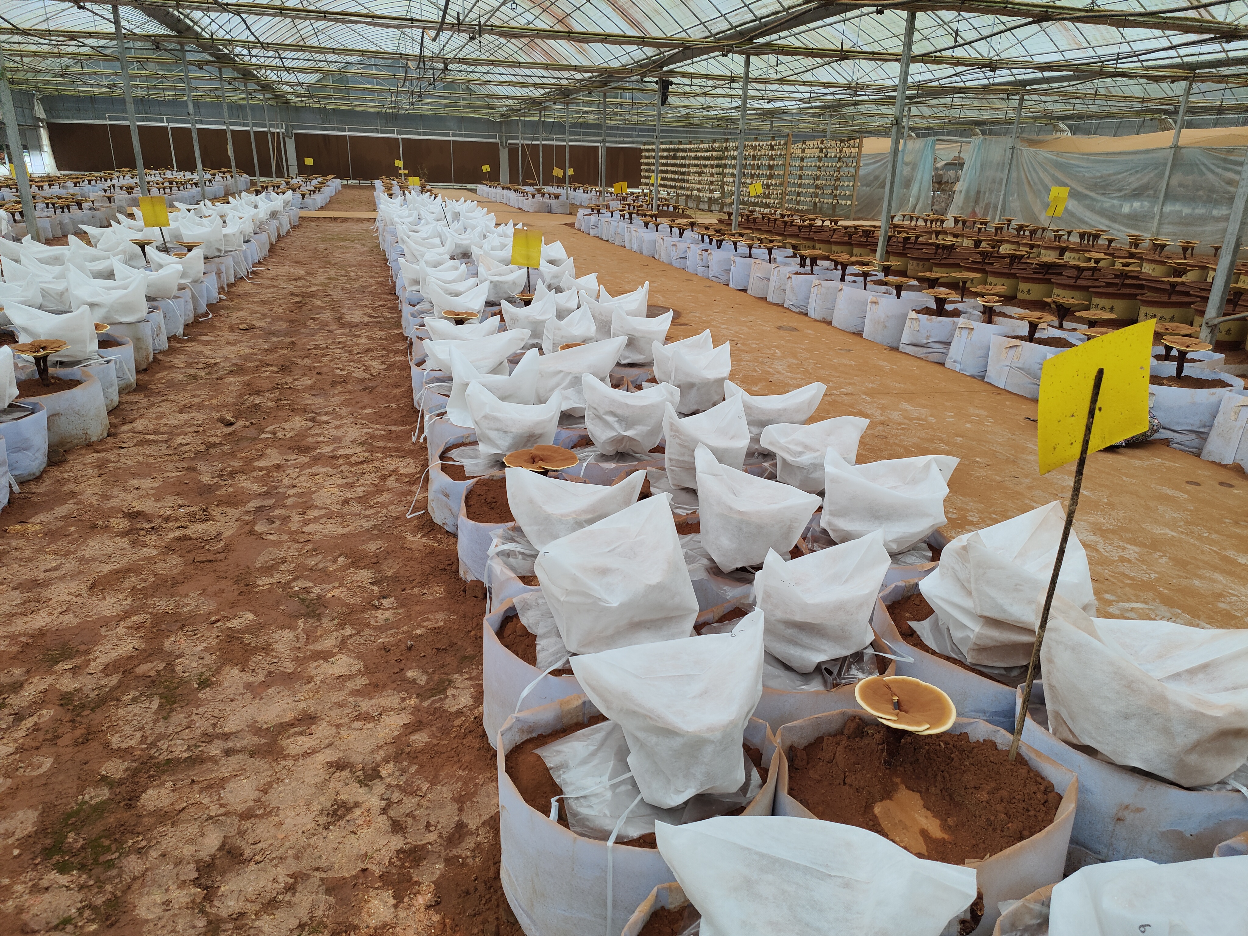 微信图片_20220621161532