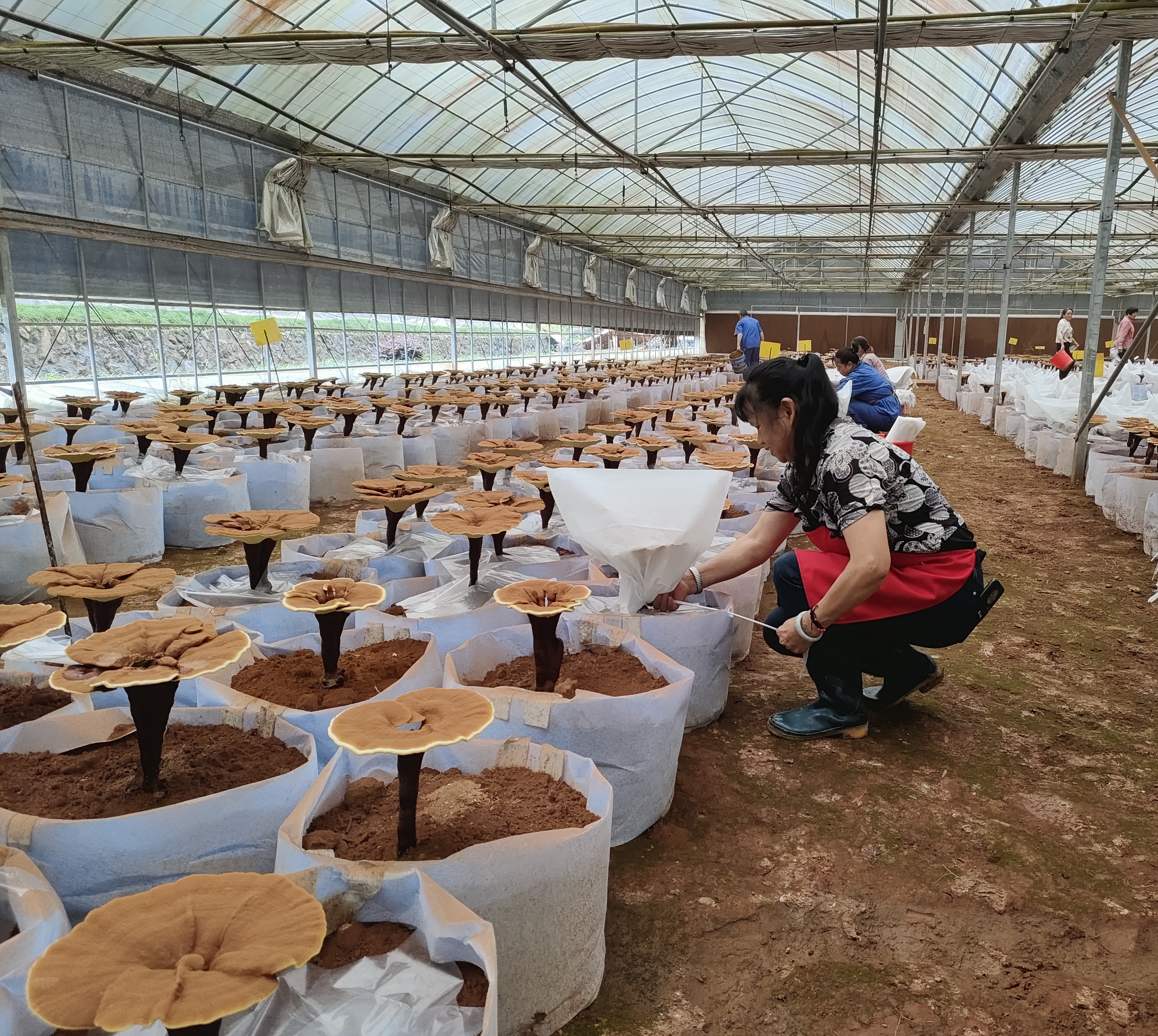 微信图片_20220621161600_WPS图片