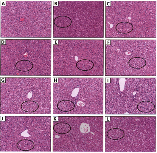 微信图片_20220707134916