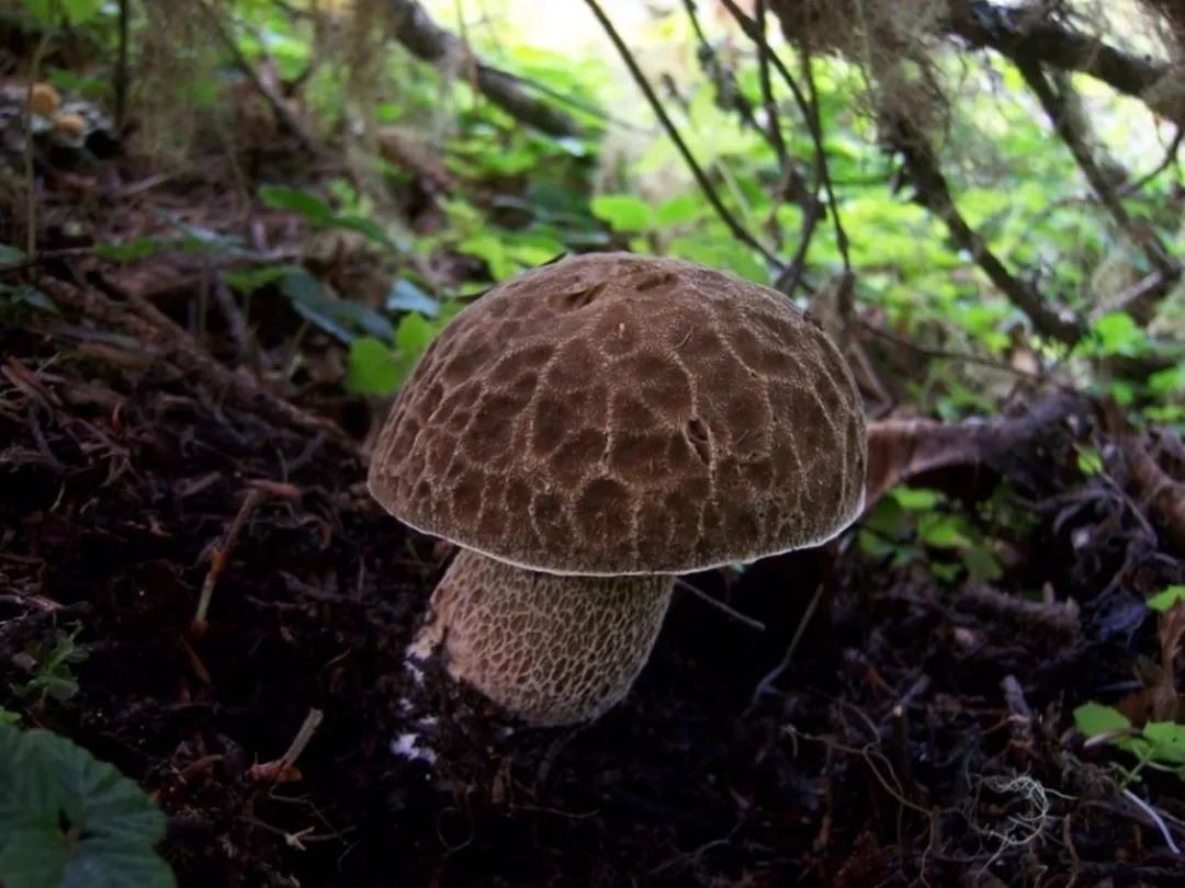 微信图片_20230517095229