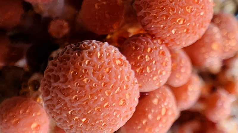 20230718091544036-97-23186