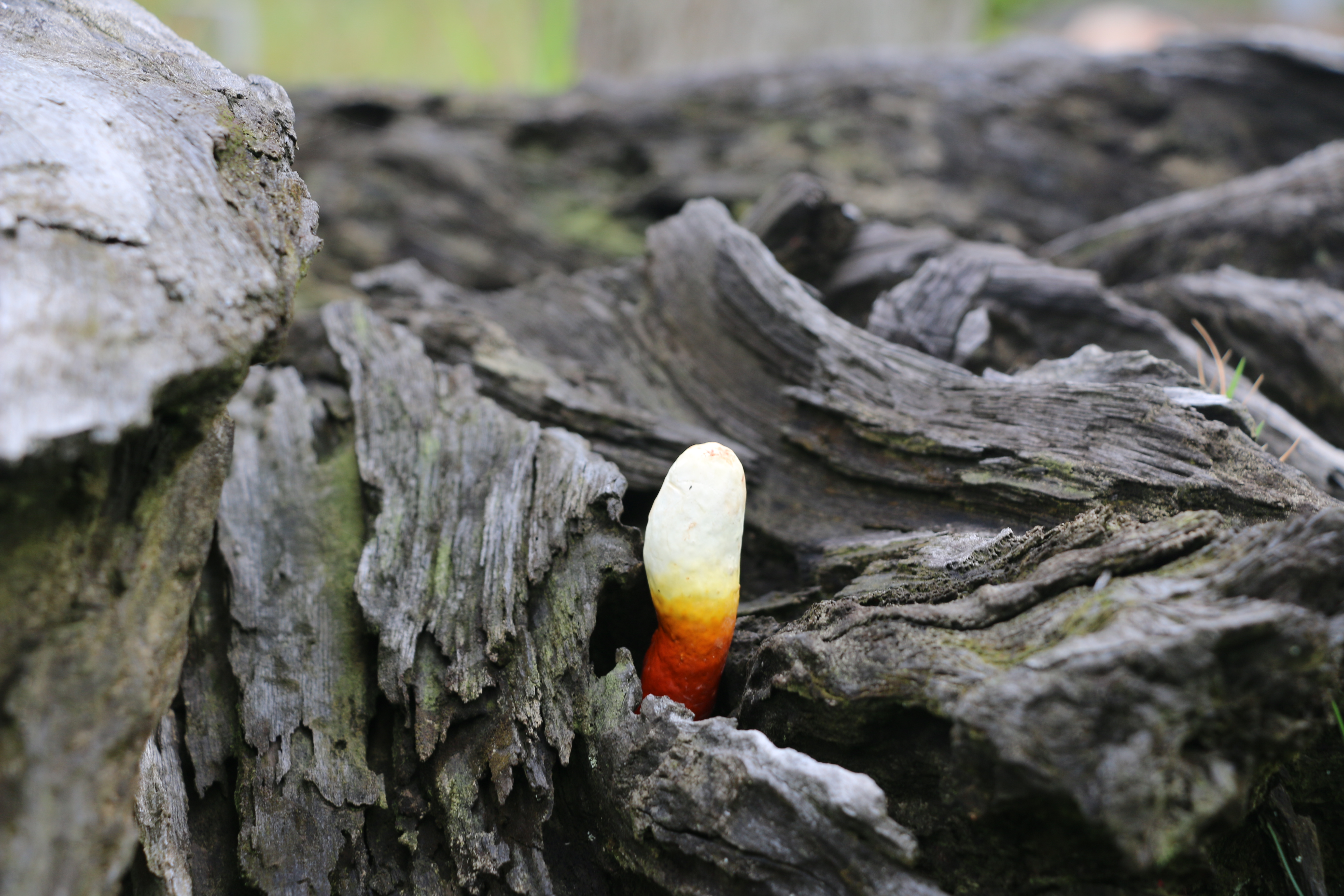 微信图片_20220509170103