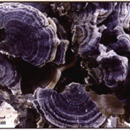 微信图片_20220707135536