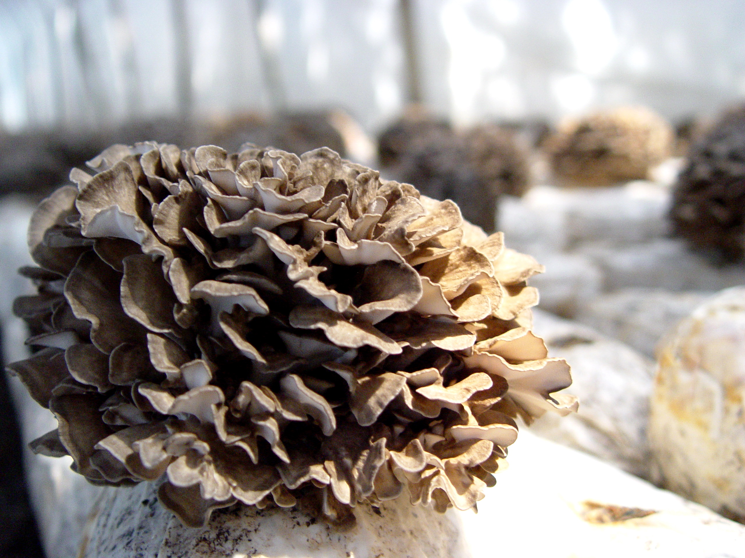 微信图片_202211091022271