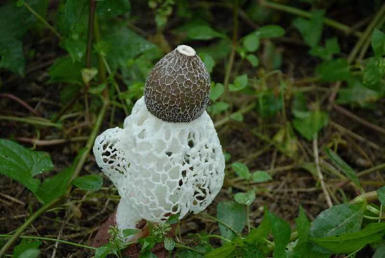 微信图片_20230414134009