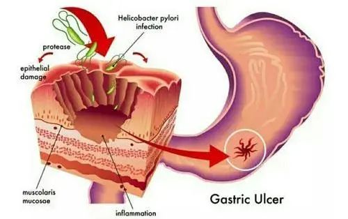 微信图片_20220803141240