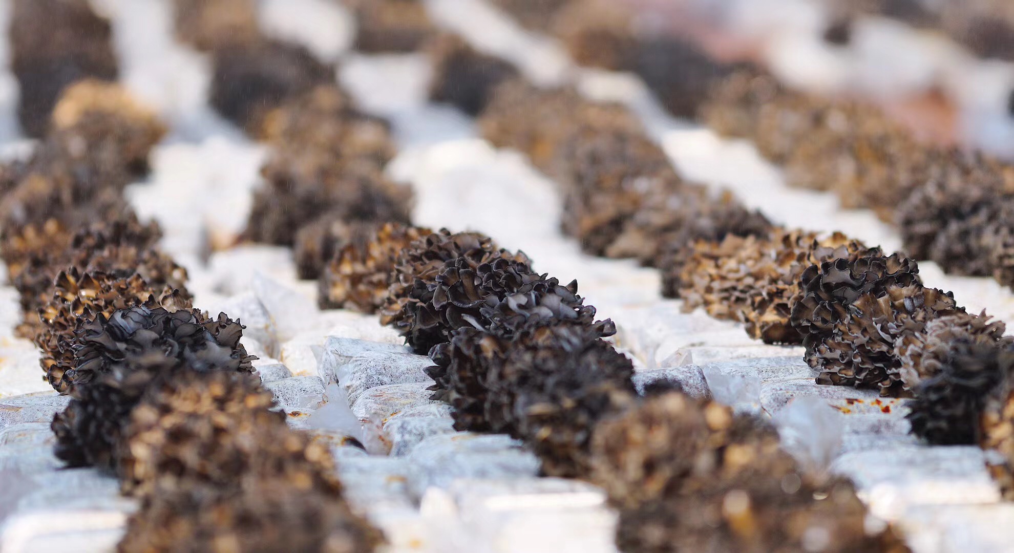 微信图片_20221109102227