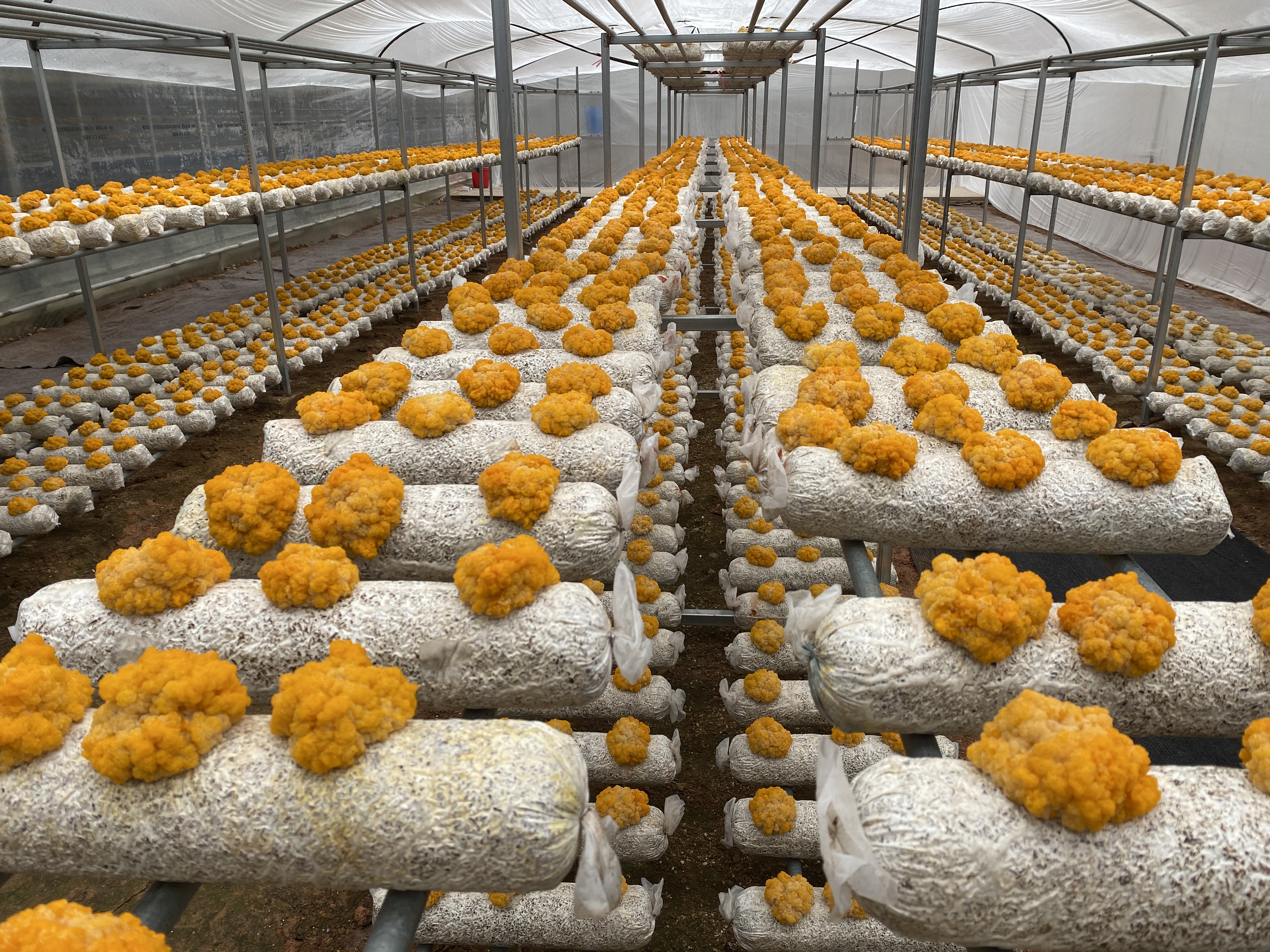 微信图片_20230111101607