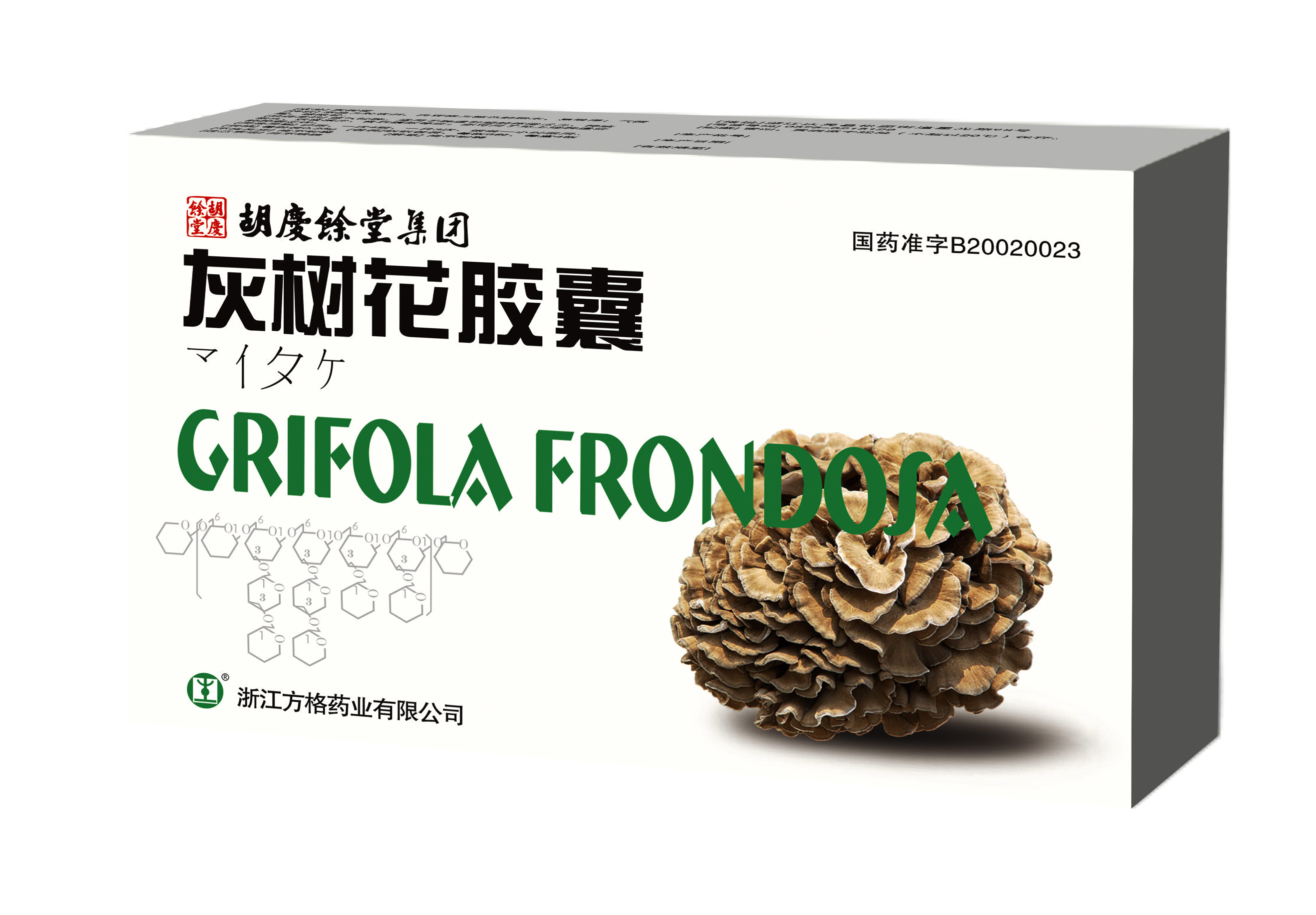 Grifola frondosa
