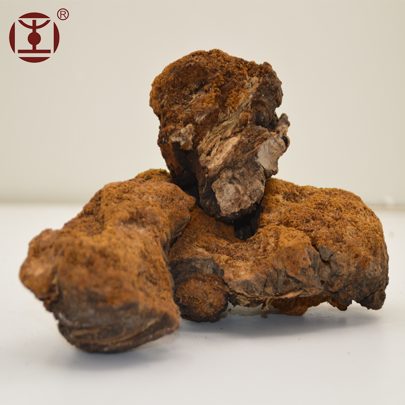 Chaga