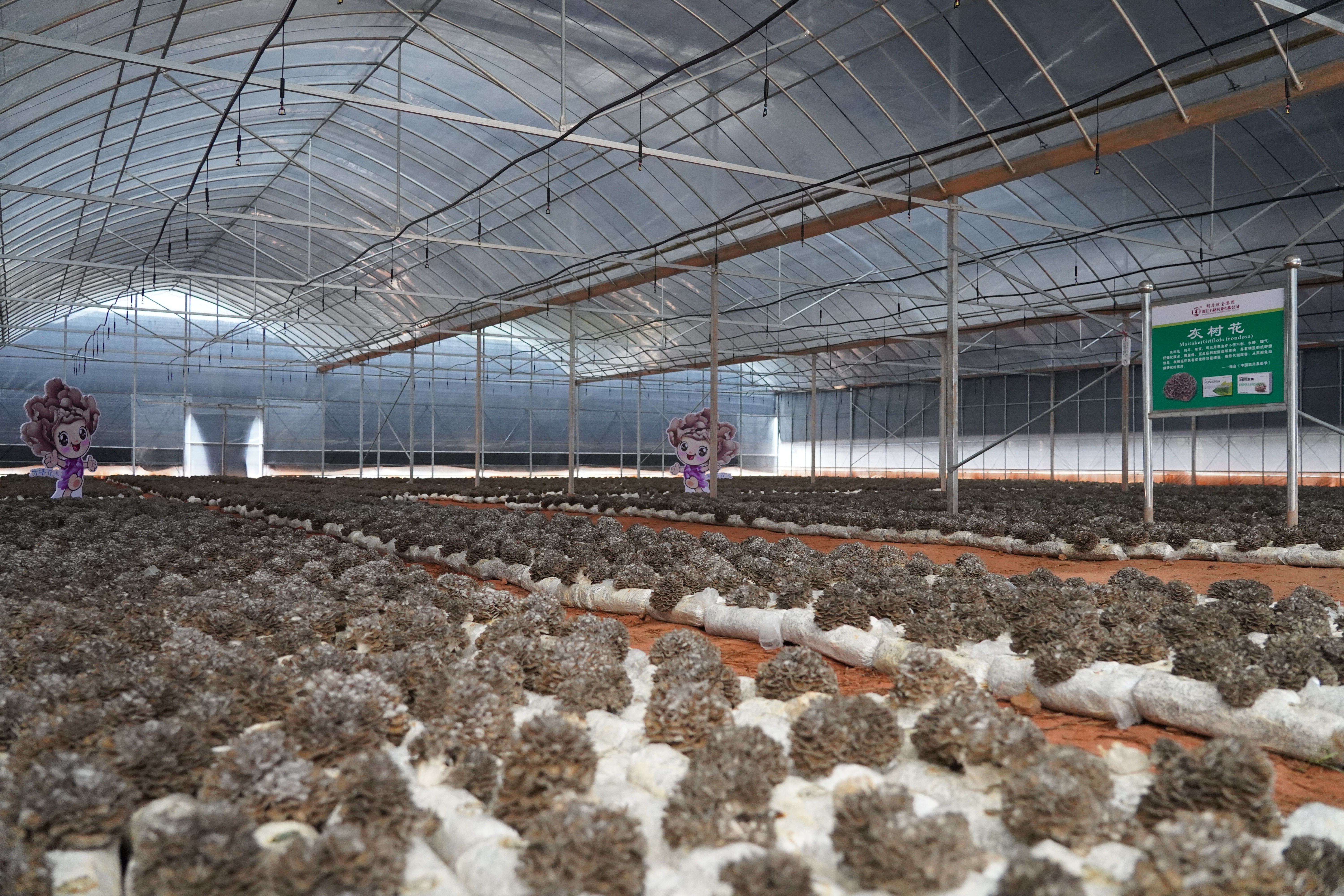 微信图片_20211122161616