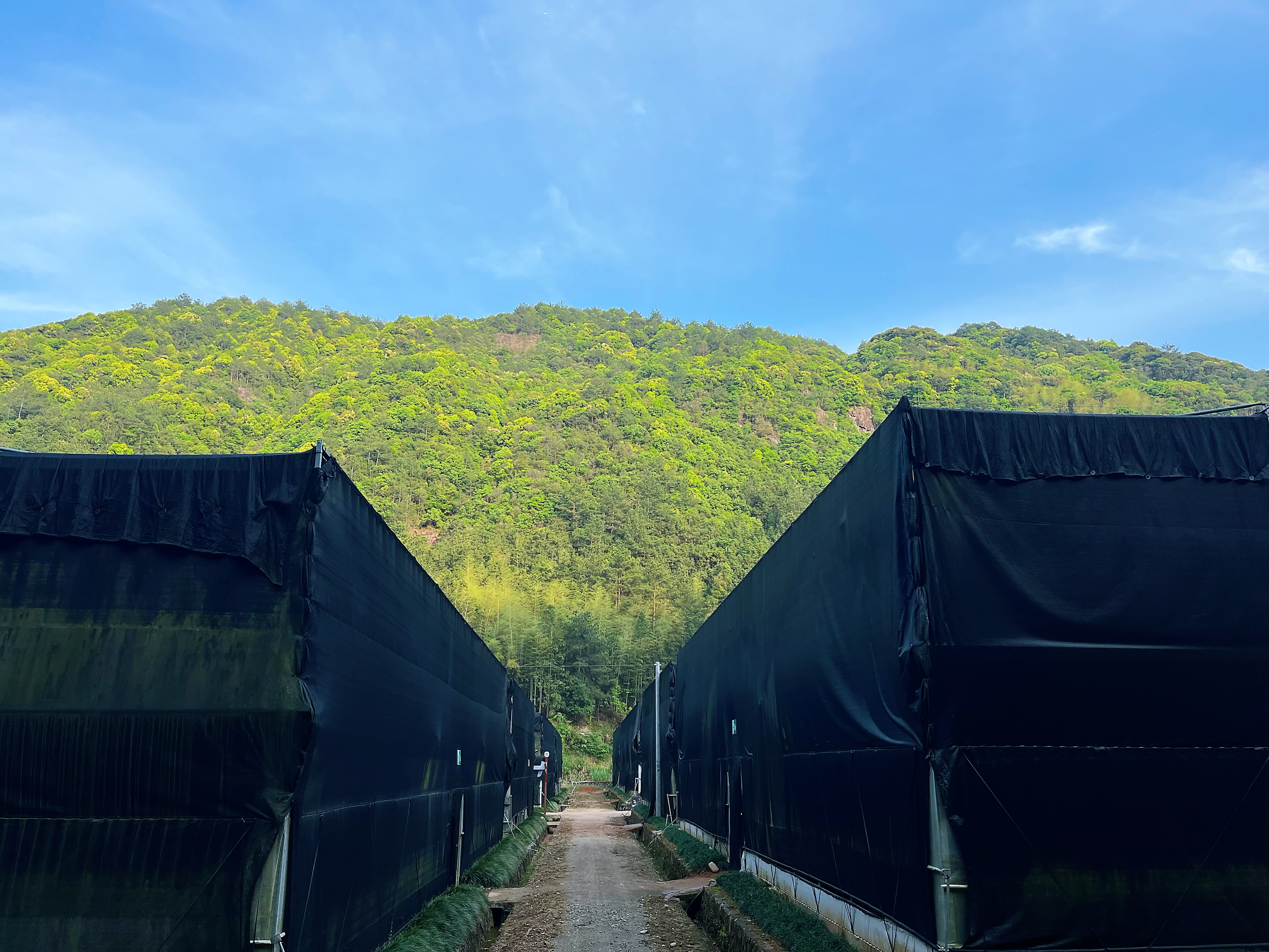 微信图片_20240416144517