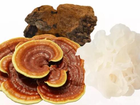 Functional Mushrooms for Beauty: How Our Triple-Action Mushroom Complex Awakens Youthful Skin
