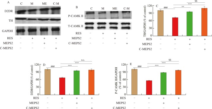 1-s2.0-S2213453023000617-gr5