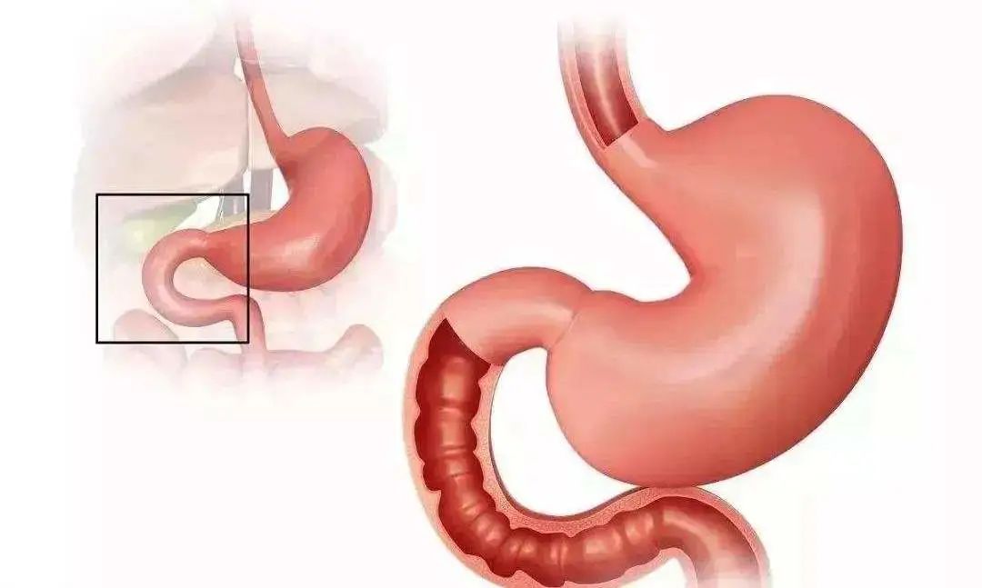 微信图片_20220803141237