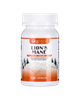 Lion's Mane - Organic Mushroom Extract Capsule 