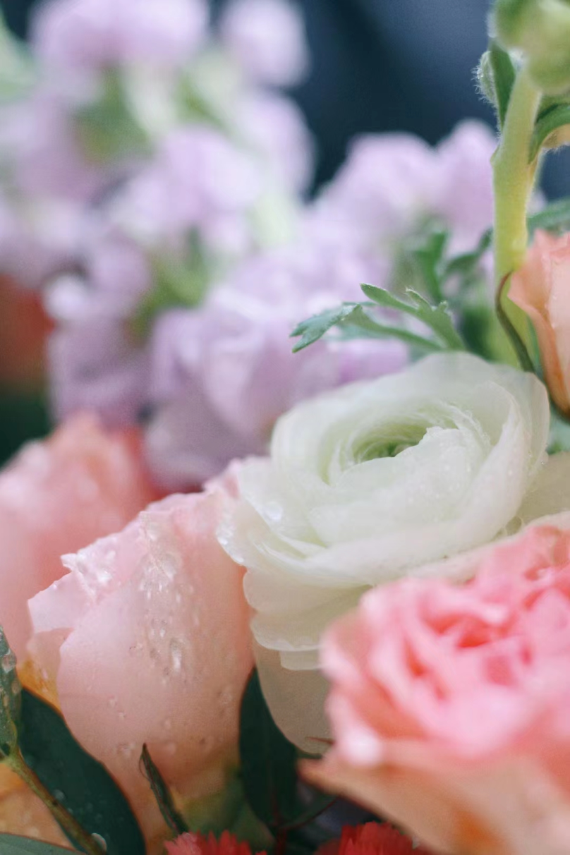 微信图片_20230309092802