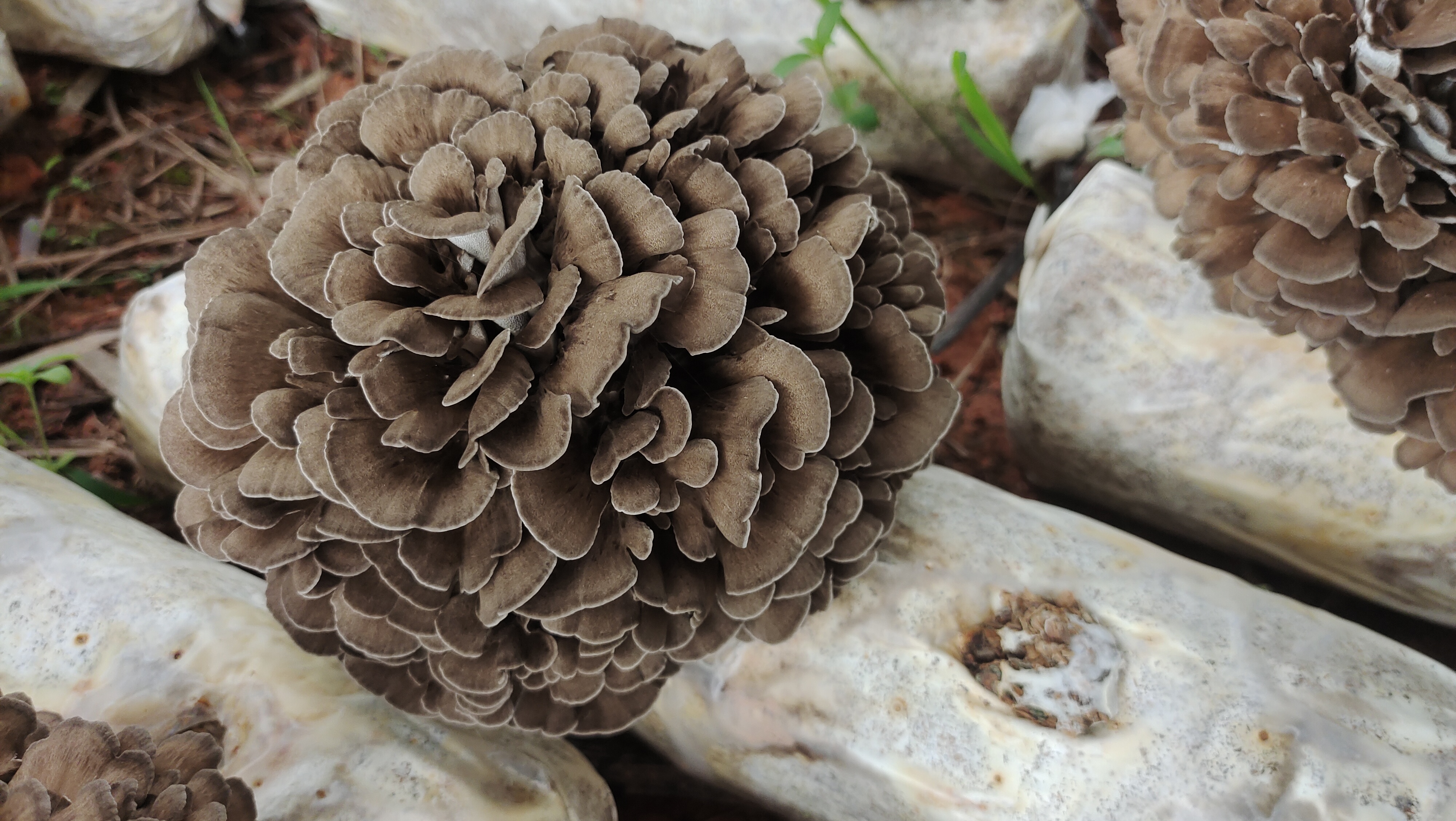 微信图片_20220506101228