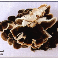 微信图片_20220707135525
