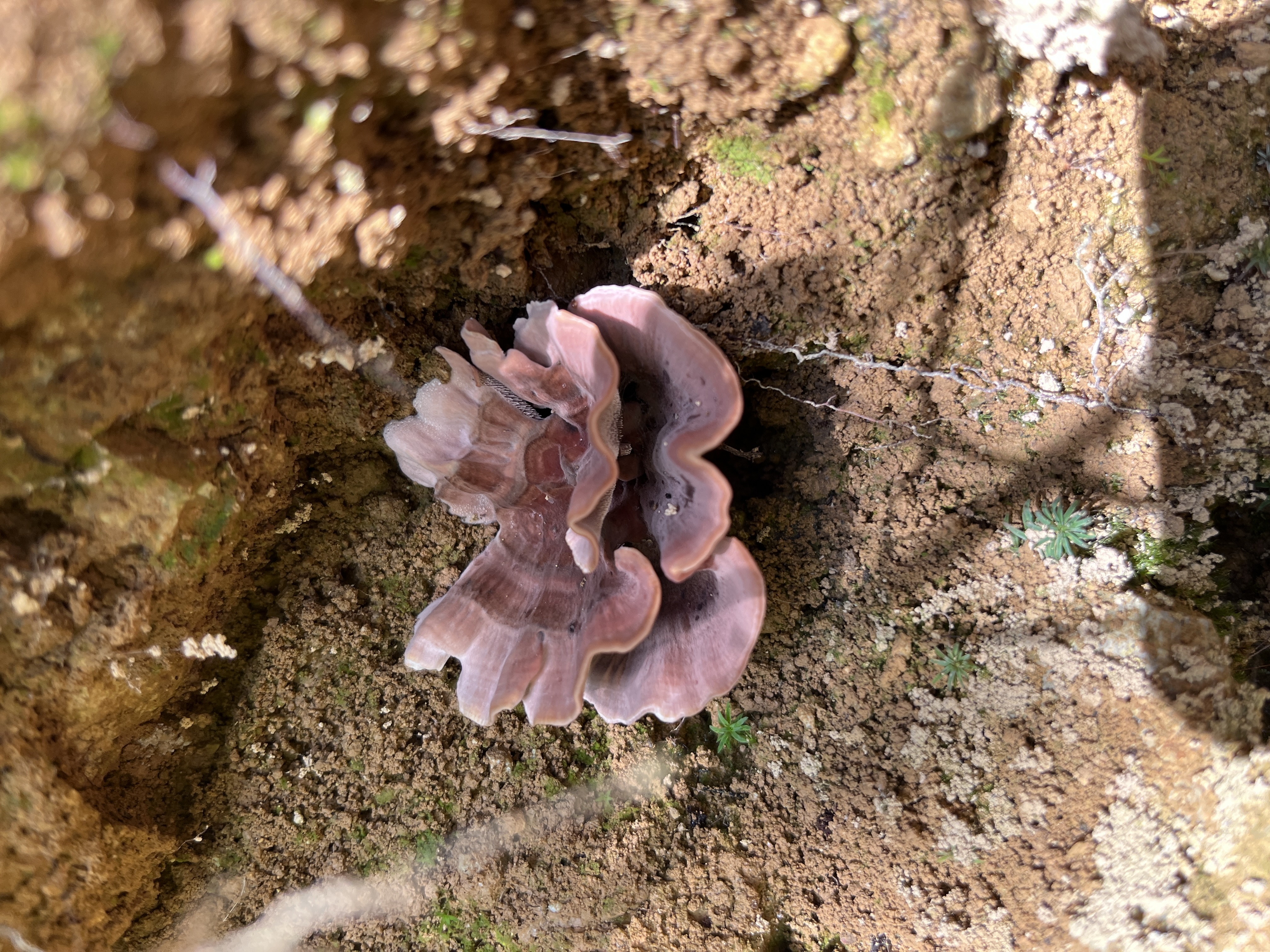 微信图片_202305101426508