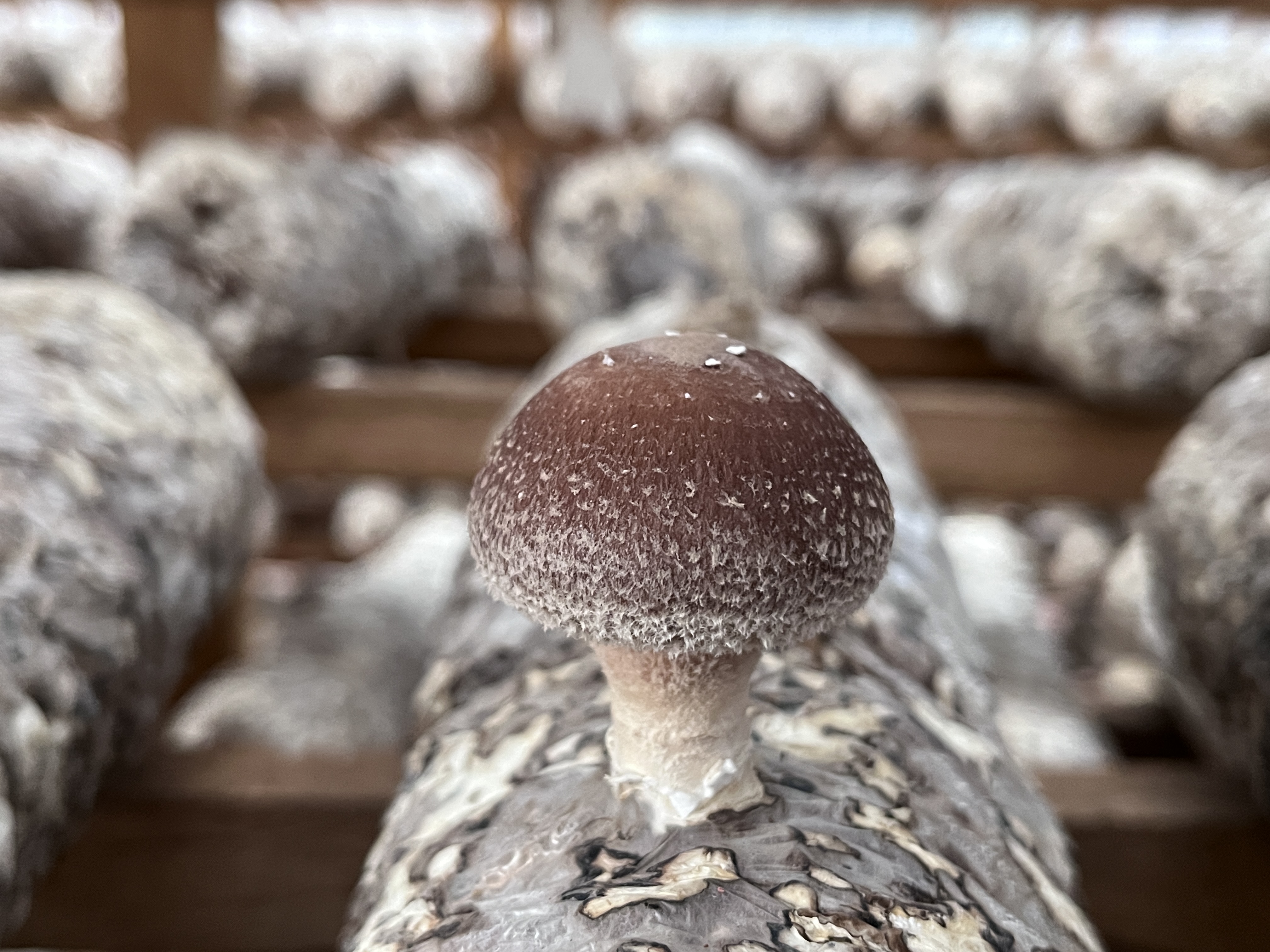 微信图片_2023022409514312