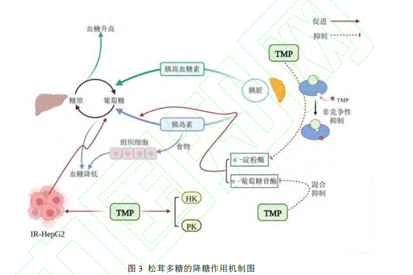 微信图片_20230131135223