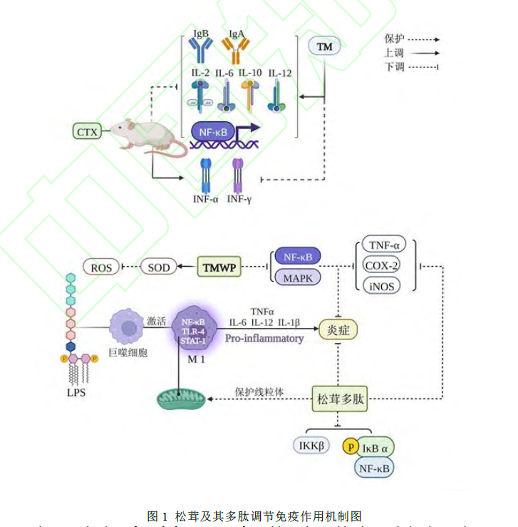 微信图片_20230131134959