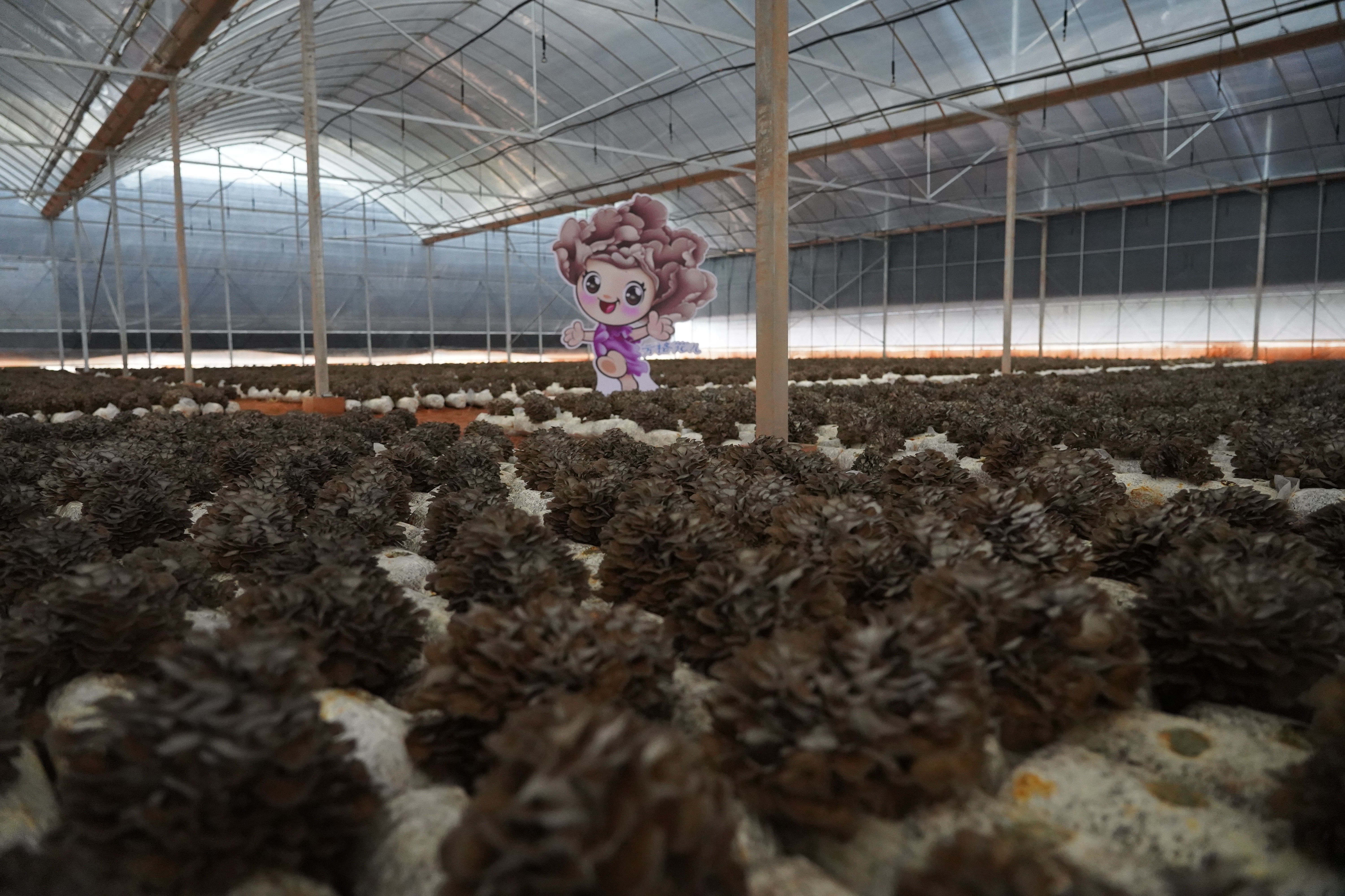 微信图片_20211122161635