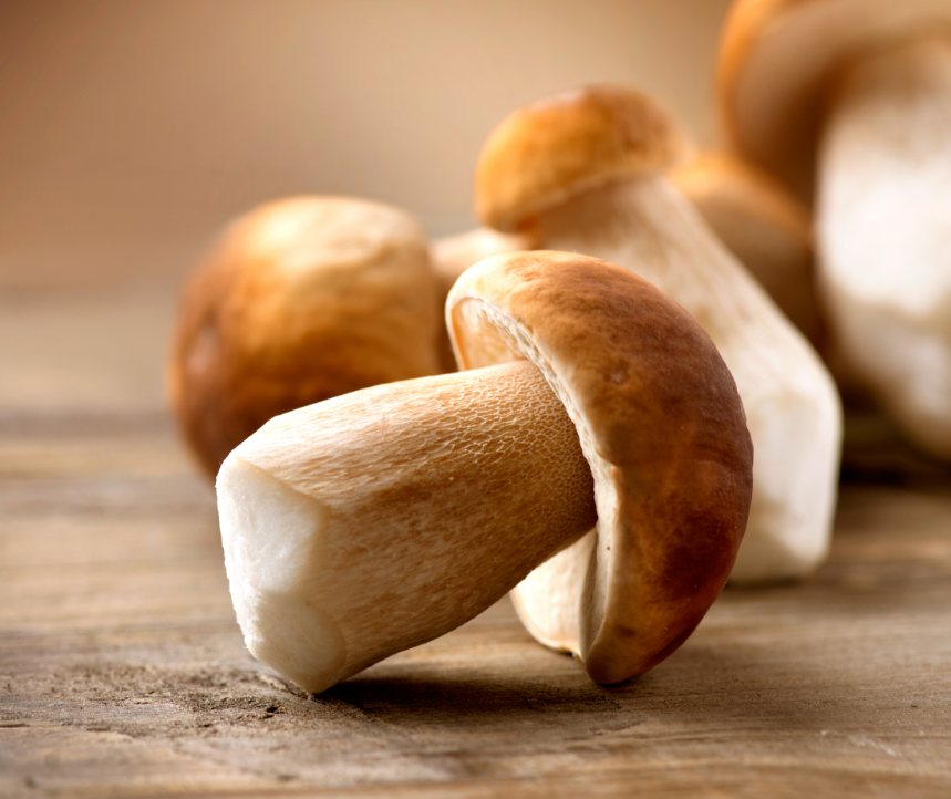 The health value of edible and medicinal mushrooms