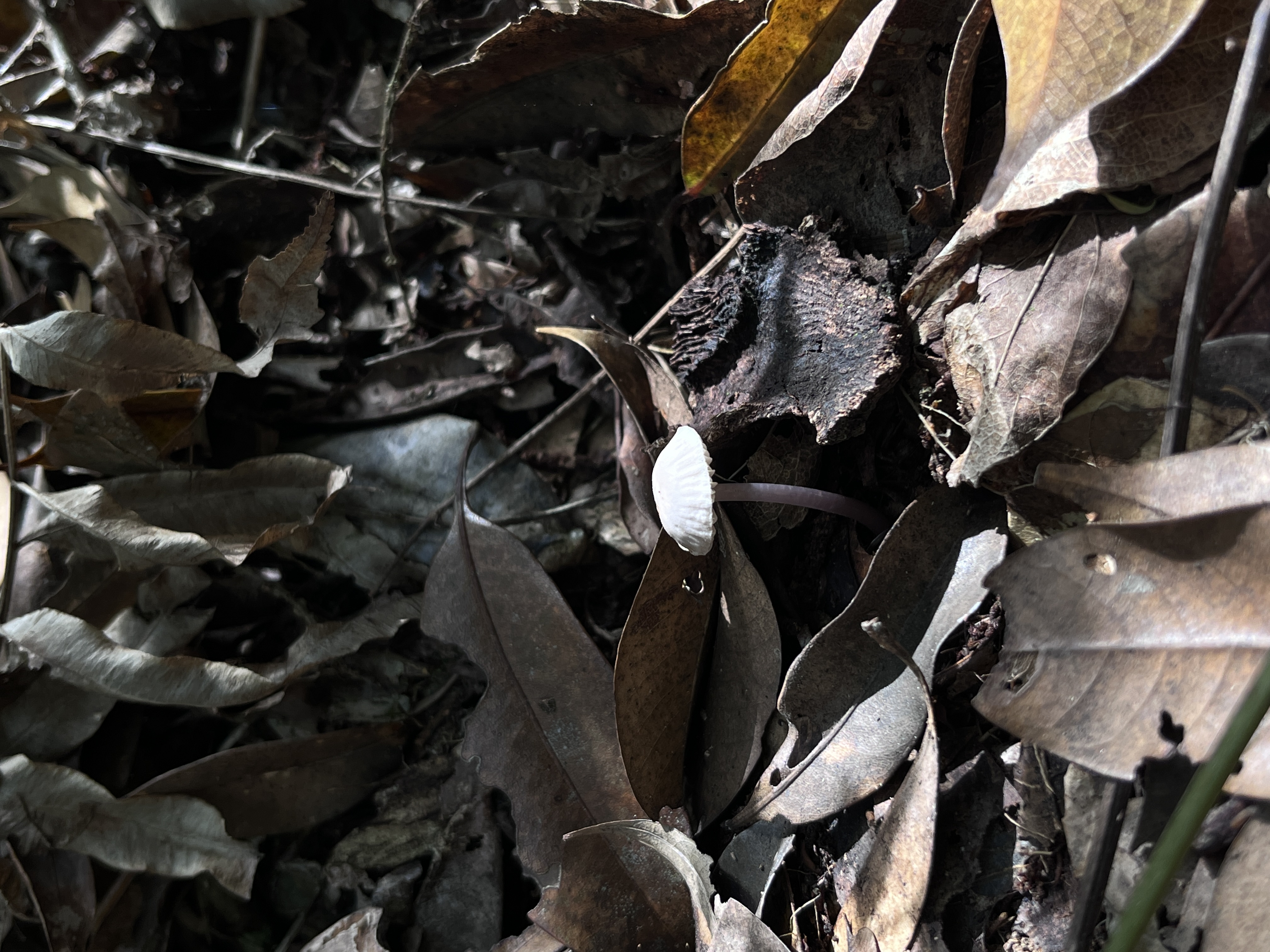 微信图片_202305101426505