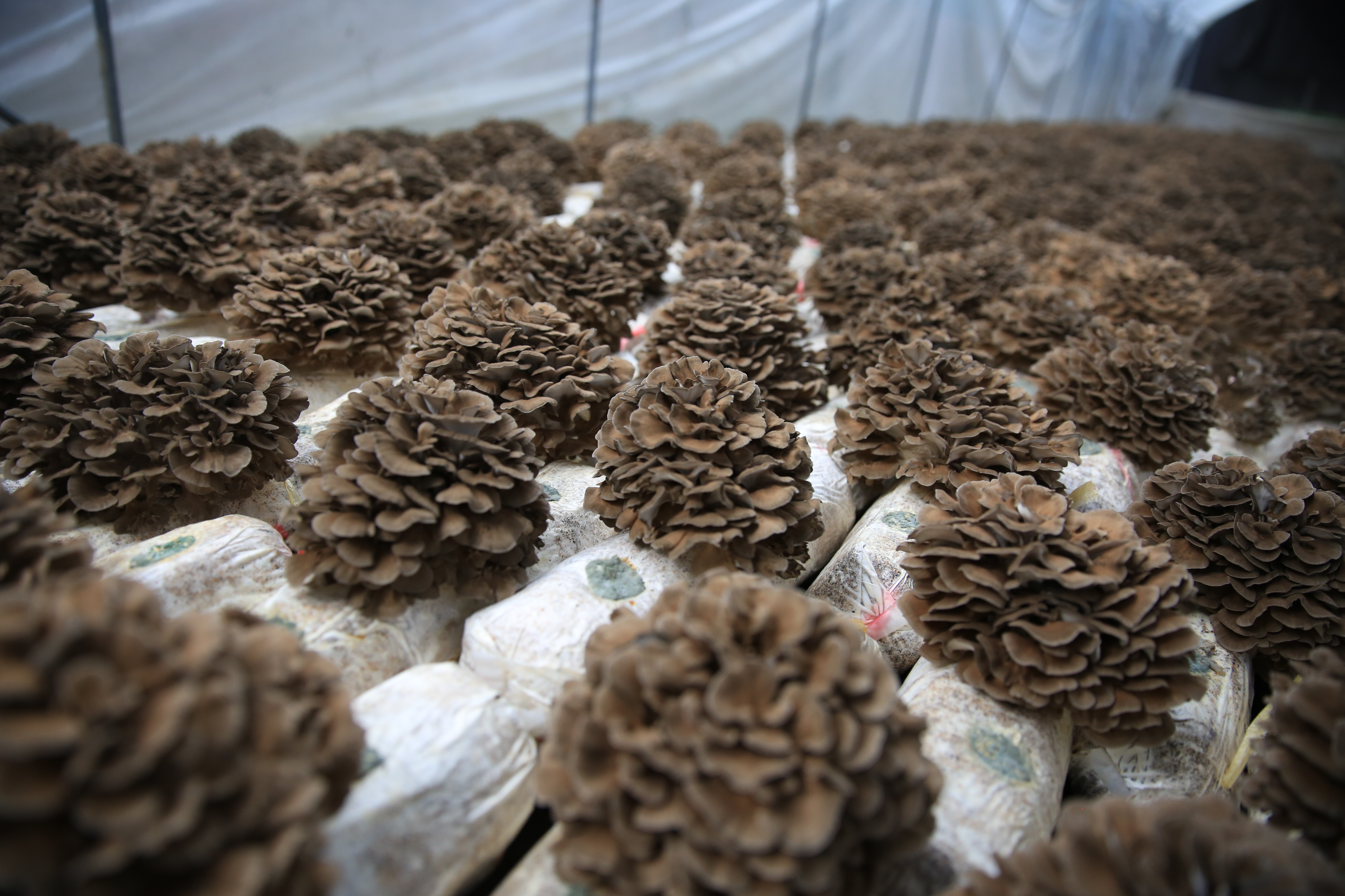 微信图片_202211091022277