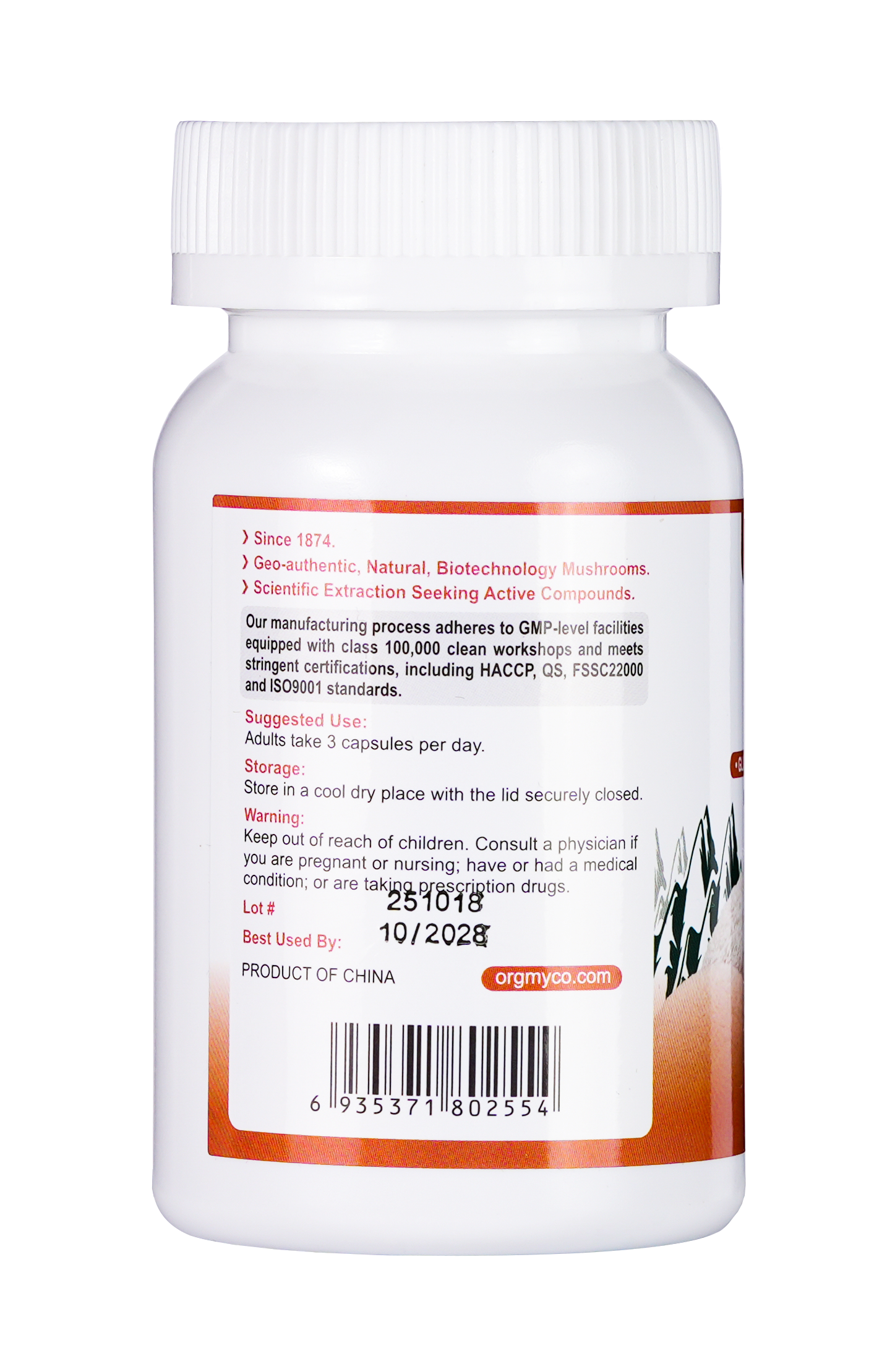 Lion's Mane - Organic Mushroom Extract Capsule 