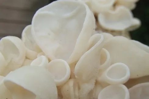 微信图片_20230303101311