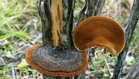 微信图片_20230308094350