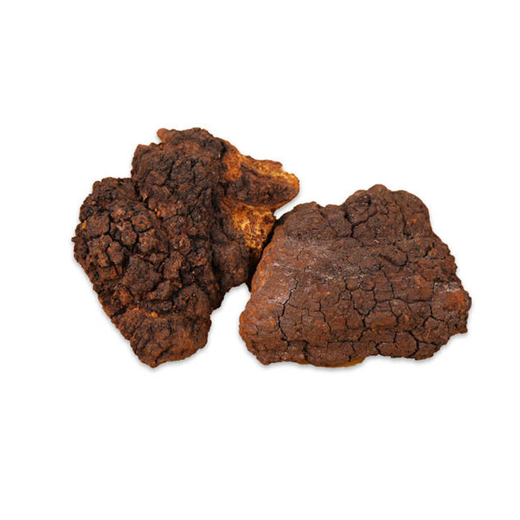 Chaga