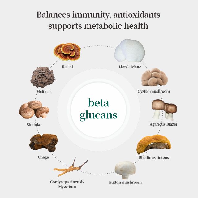 Immune Balance - Organic Mushroom Extract Capsule 