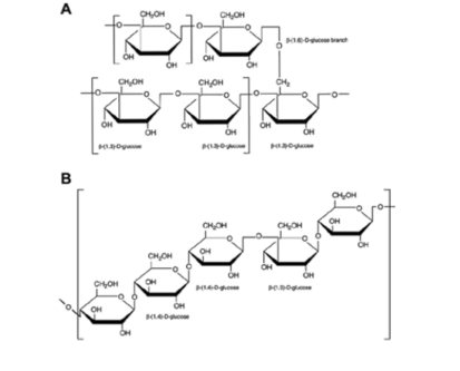 7a27d0f5-174b-4807-a1bc-bbccd75e2cc0