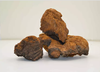 Chaga- Organic Mushroom Extract Bulk Powder 