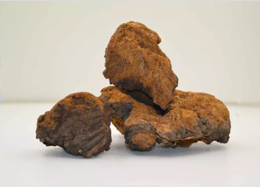 Chaga- Organic Mushroom Extract Bulk Powder 