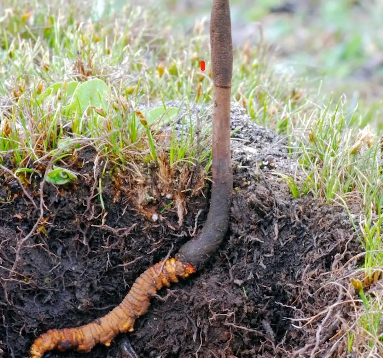 a2d77cf0-6845-4d0b-b43a-97fc2f8ead05