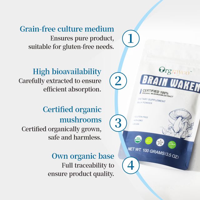 Brain Waken - Organic Mushroom Extract Bulk Powder 