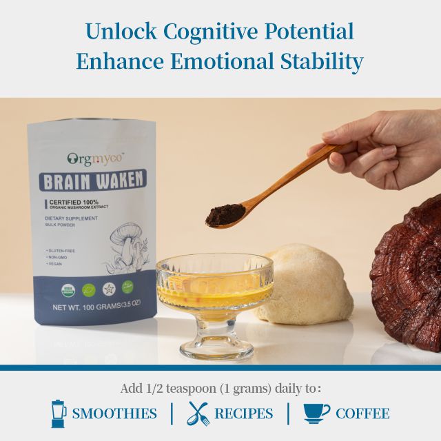 Brain Waken - Organic Mushroom Extract Bulk Powder 